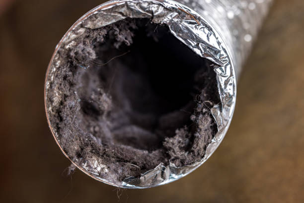 Best Ventilation Cleaning Services  in Wildwood, TN